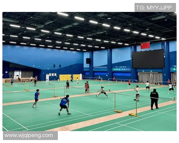 杭州羽毛球队配合变革引发热议助力球队竞技水平提升 杭州羽毛球队配合变革引发热议助力球队竞技水平提升