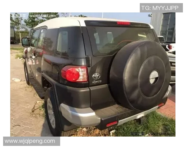 武汉排球队在洲际杯积分榜上以62分稳居第一名，展现强劲实力