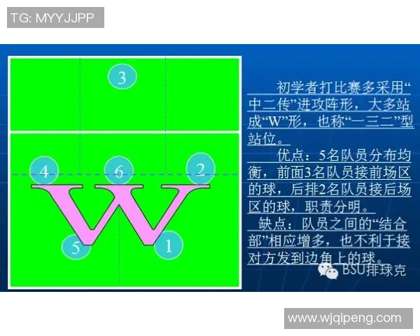 深入分析重庆排球队独特的进攻战术与策略发展