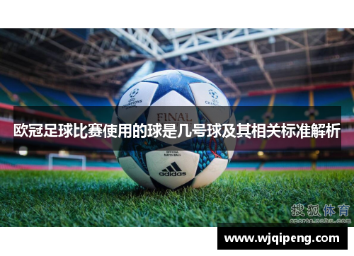 欧冠足球比赛使用的球是几号球及其相关标准解析